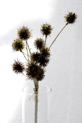 Sweet Chestnut Pod Bundle Brown 57cm – Artificial Stem Set