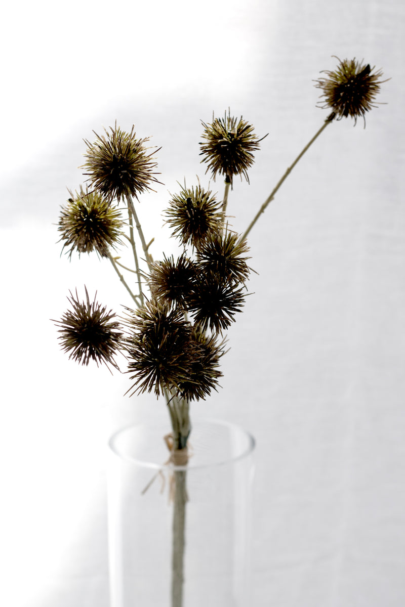 Sweet Chestnut Pod Bundle Brown 57cm – Artificial Stem Set