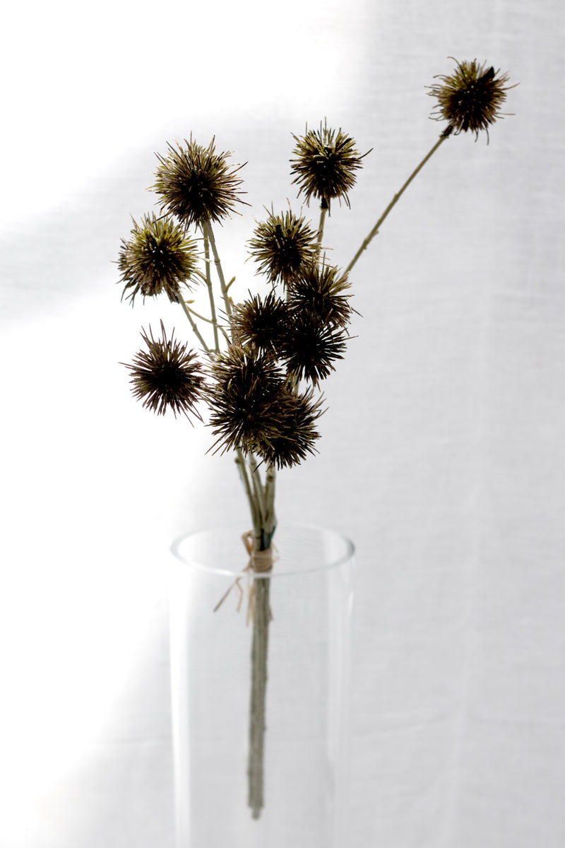 Sweet Chestnut Pod Bundle Brown 57cm – Artificial Stem Set