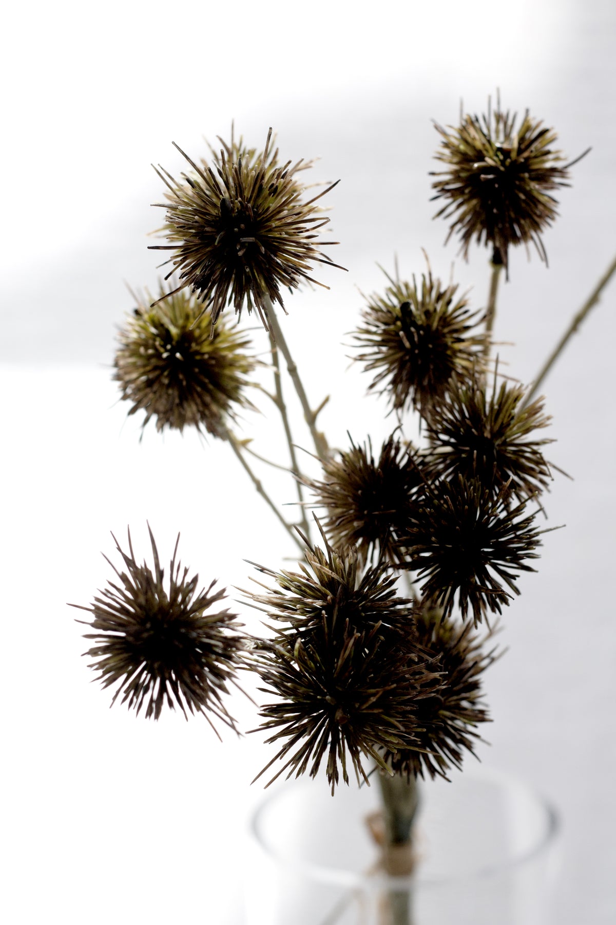 Sweet Chestnut Pod Bundle, Brown 57cm Faux Stems