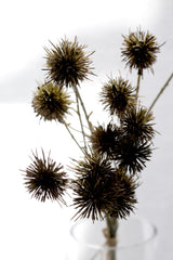 Sweet Chestnut Pod Bundle Brown 57cm – Artificial Stem Set