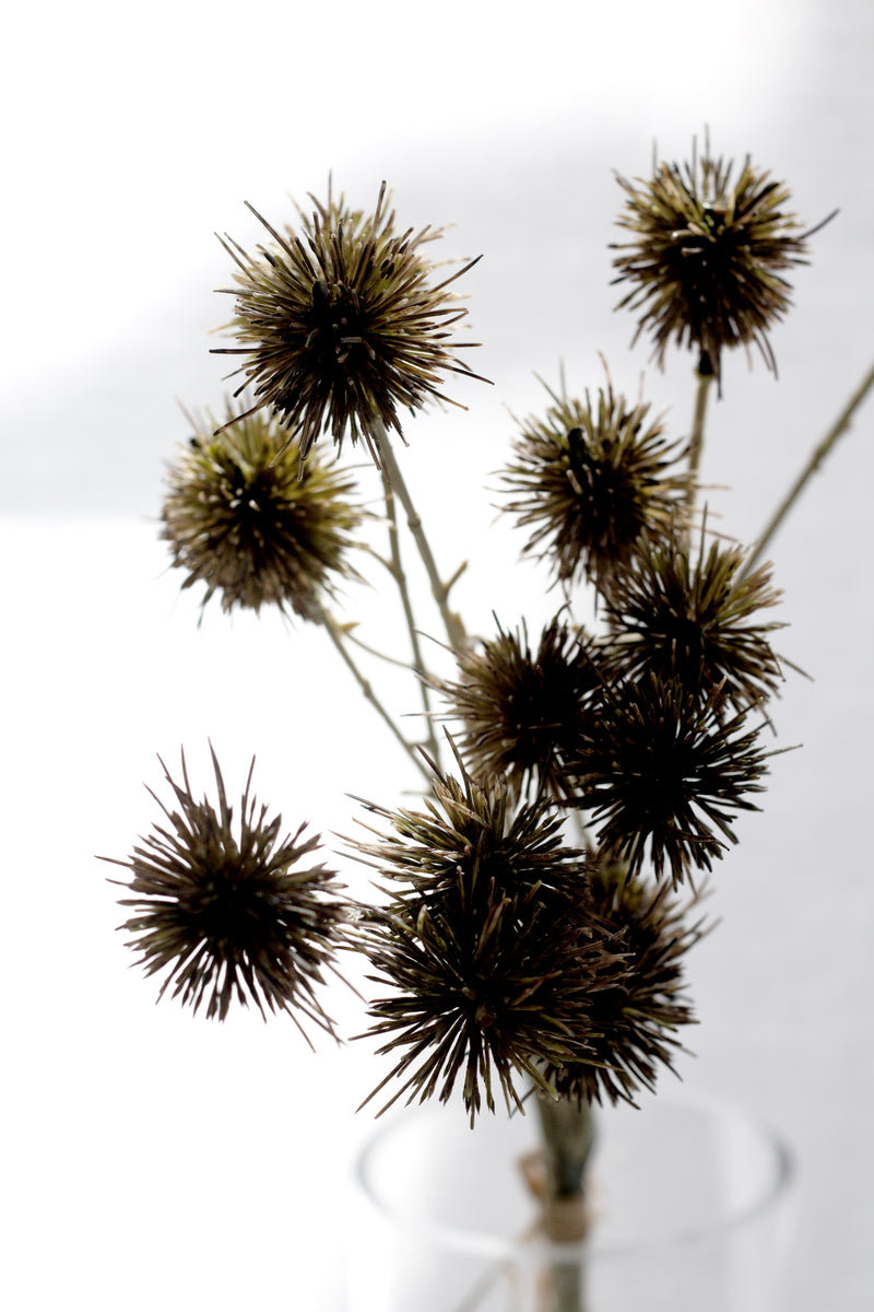 Sweet Chestnut Pod Bundle Brown 57cm – Artificial Stem Set