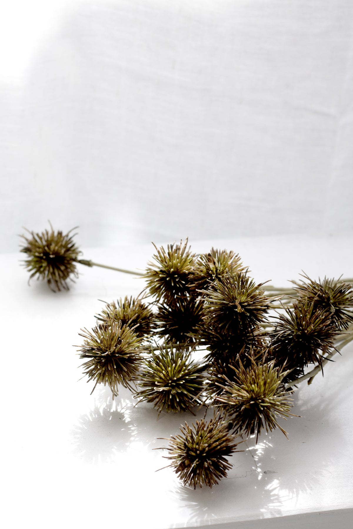 Sweet Chestnut Pod Bundle, Brown 57cm Faux Stems