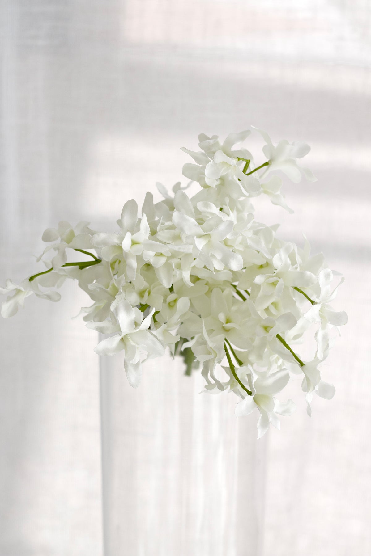 Faux orchid bundle in a glass vase against sheer curtains