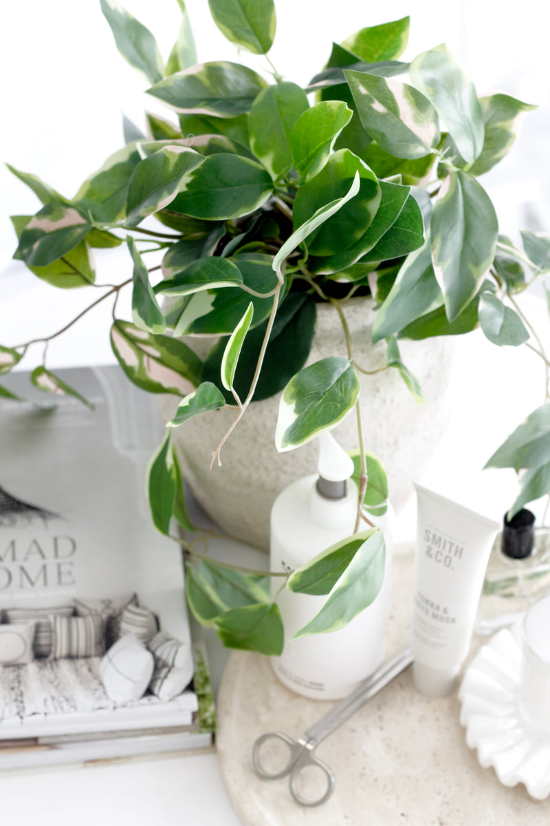 Pothos Variegated Hanging Bush 40cm – Artificial Greenery