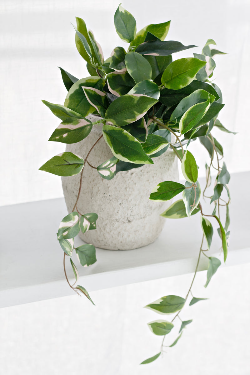 Pothos Variegated Hanging Bush 40cm – Artificial Greenery