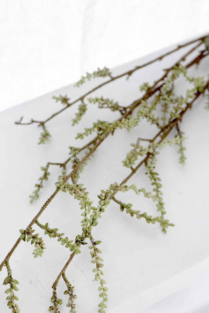 Stachyurus Branch 1.3m – Tall Artificial Greenery Stem