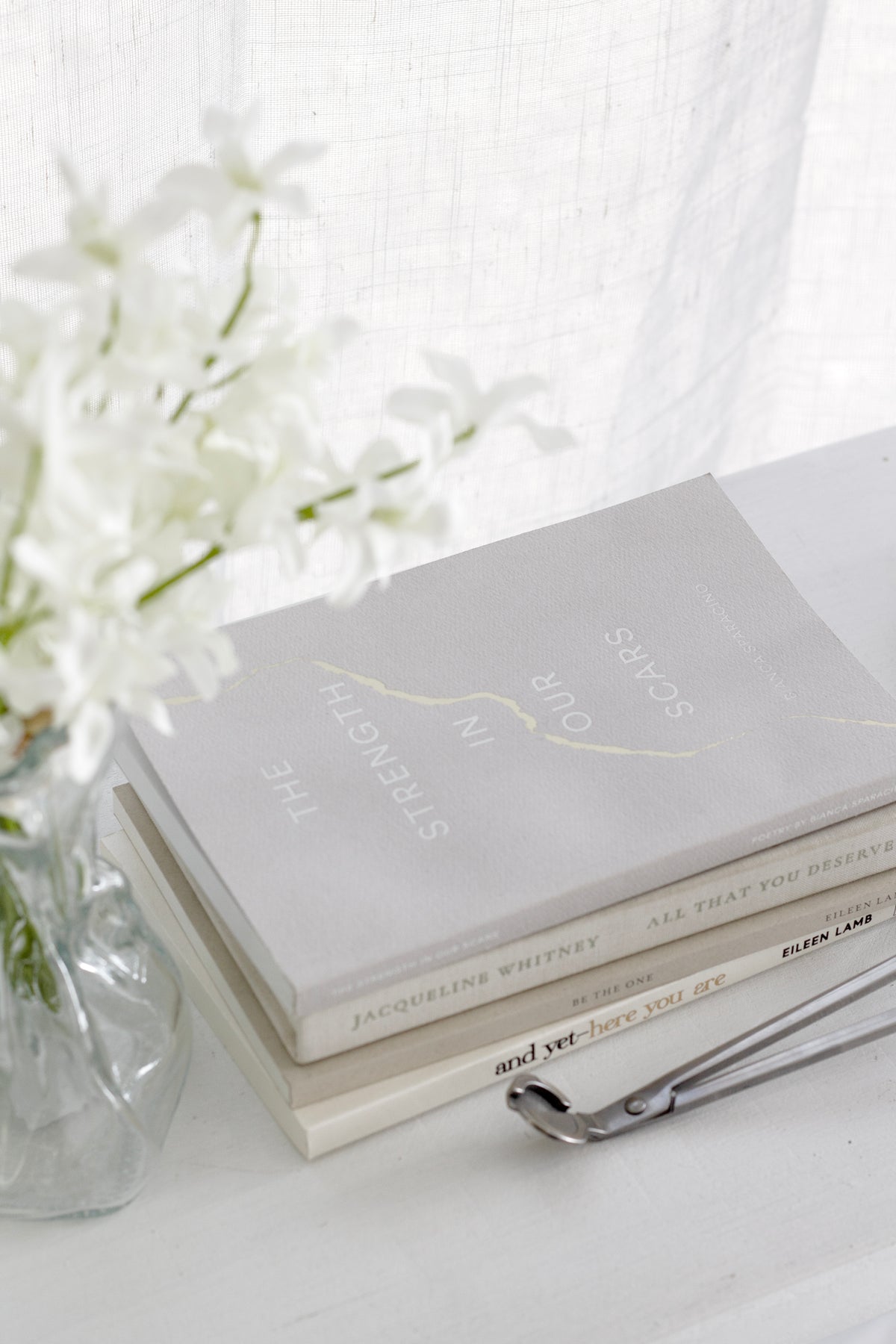 The Strength in Our Scars by Bianca Sparacino resting on a neutral surface