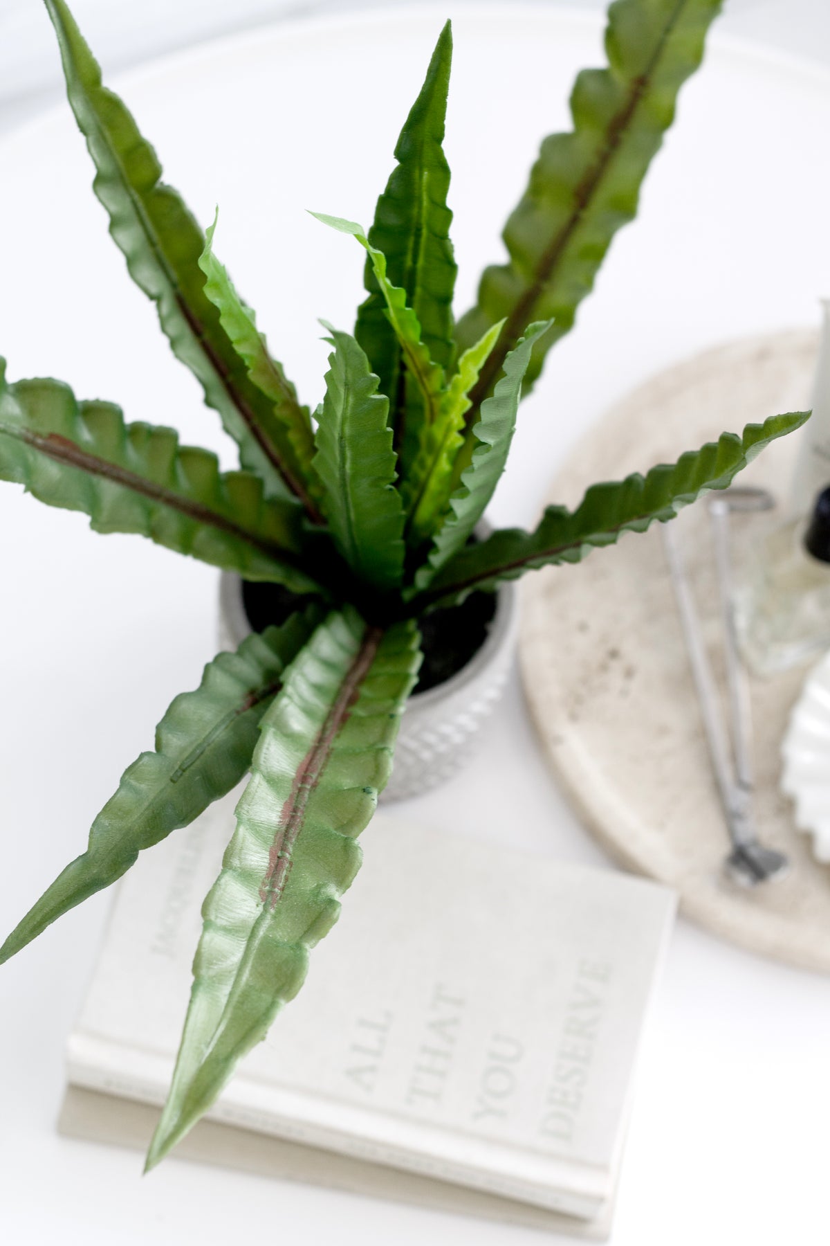 Faux fern in a black nursery pot styled on a book beside a stone tray and ribbed vase