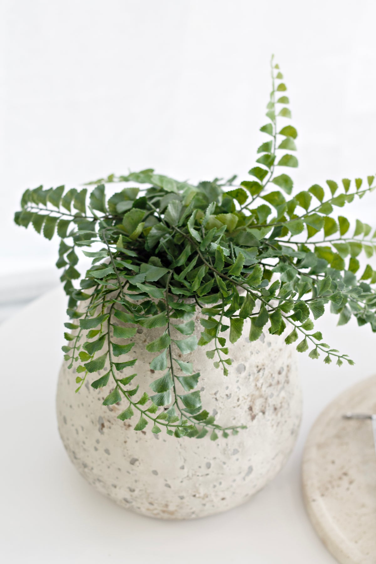 Faux maidenhair fern in a speckled stone pot