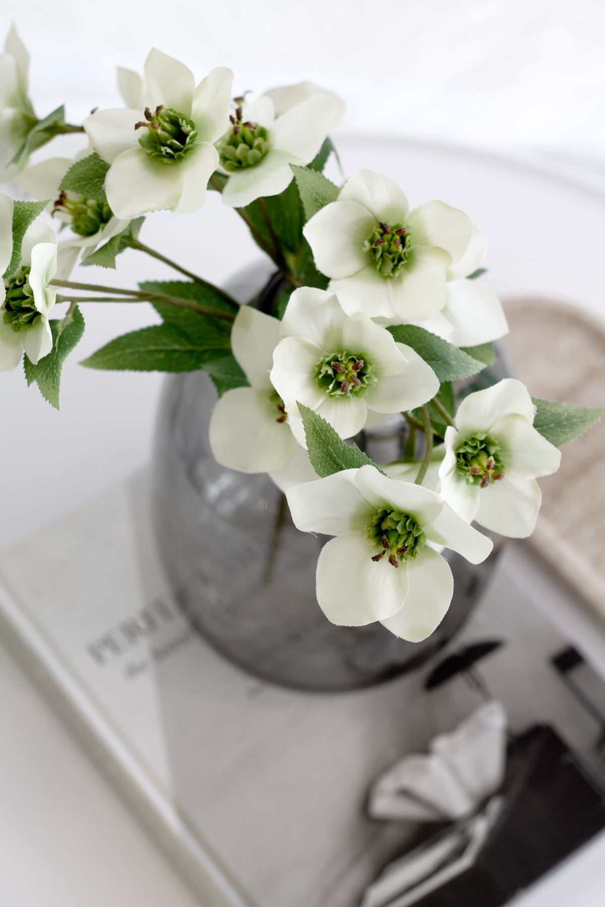 Cream hellebores in a grey glass vase on a coffee table book