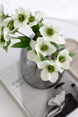 Hellebore Spray – Faux Stem in Cream, Green or Mauve