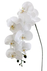 Artificial White Phalaenopsis Orchid Stem – 86cm Cascading Bloom