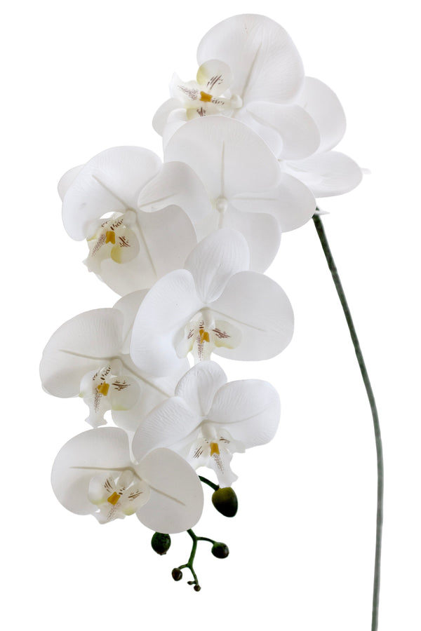 Artificial White Phalaenopsis Orchid Stem – 86cm Cascading Bloom