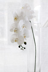 Artificial White Phalaenopsis Orchid Stem – 86cm Cascading Bloom