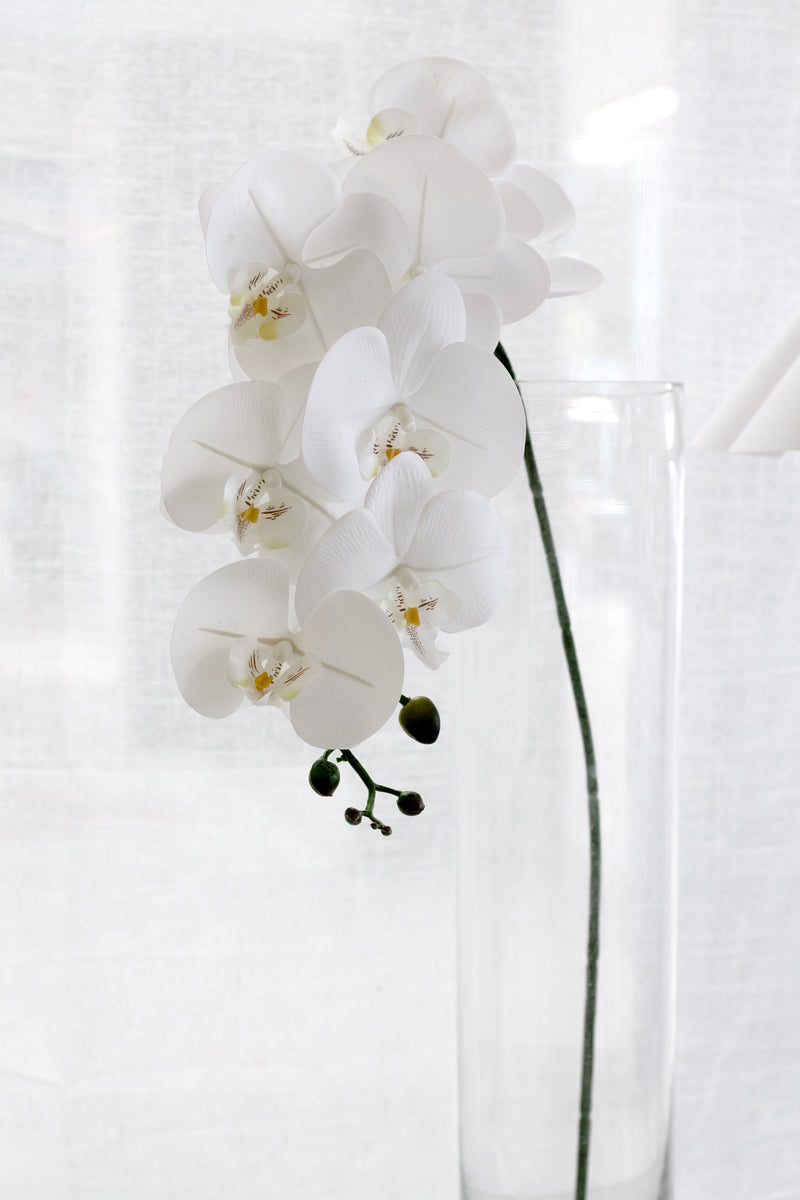 Artificial White Phalaenopsis Orchid Stem – 86cm Cascading Bloom