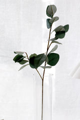 Outback Eucalyptus Stem – Green | 76cm Artificial Leaf Spray