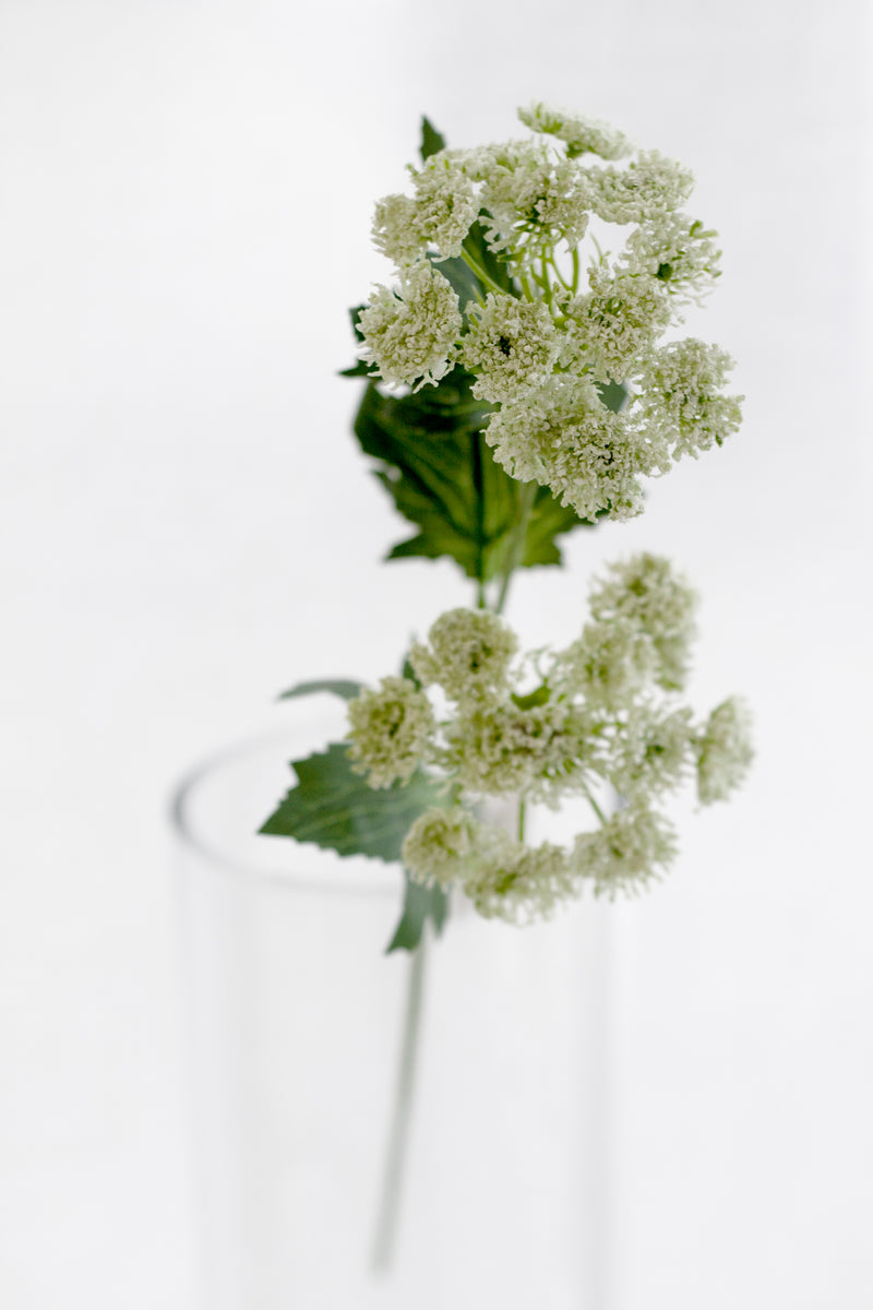 Queen Anne’s Lace Stem – Light Green Faux Flower 49cm | Soft Wildflower Look