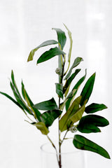 Willow Eucalyptus Stem – New Green Faux Foliage 76cm