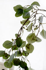 Gunni Eucalyptus Hanging Trail – Realistic Trailing Greenery