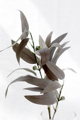 Willow Eucalyptus Stem – Narabor Grey Faux Botanical 76cm