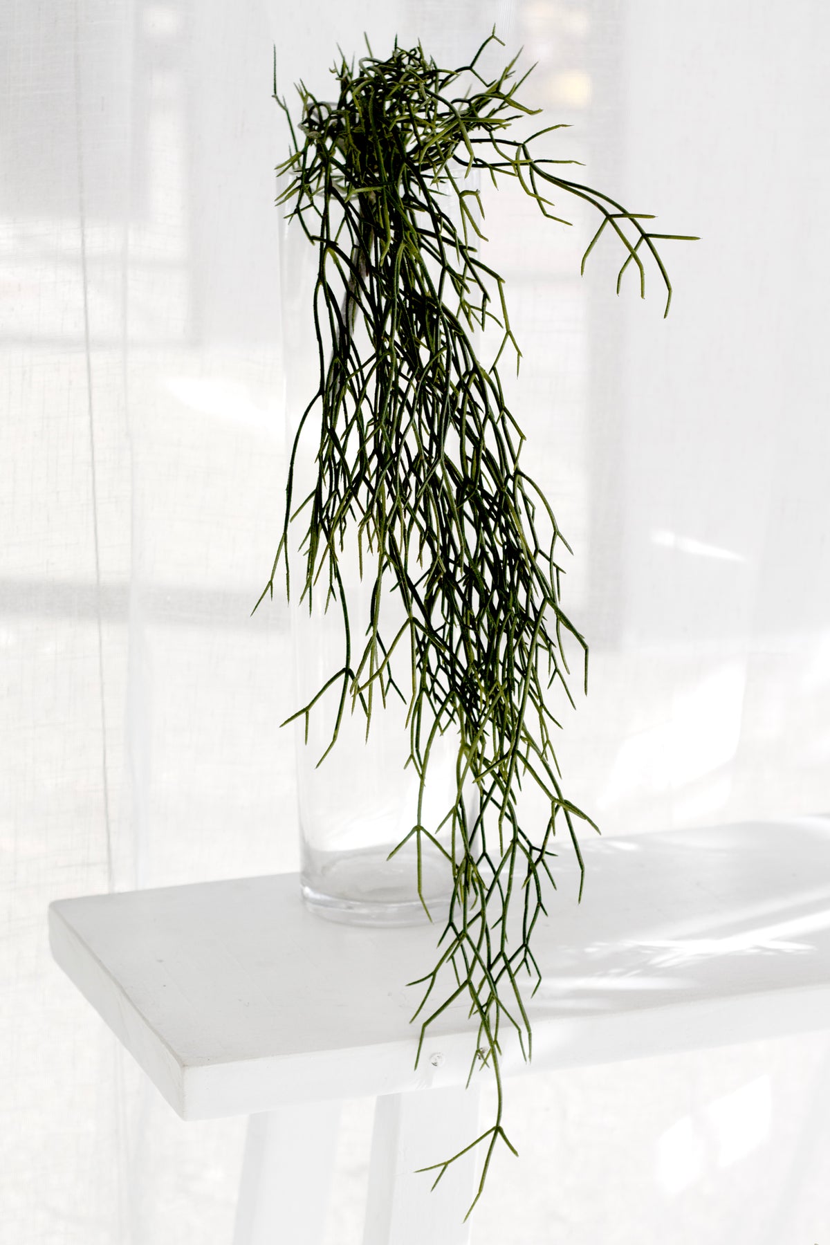 Faux rhipsalis trailing from a clear glass vase