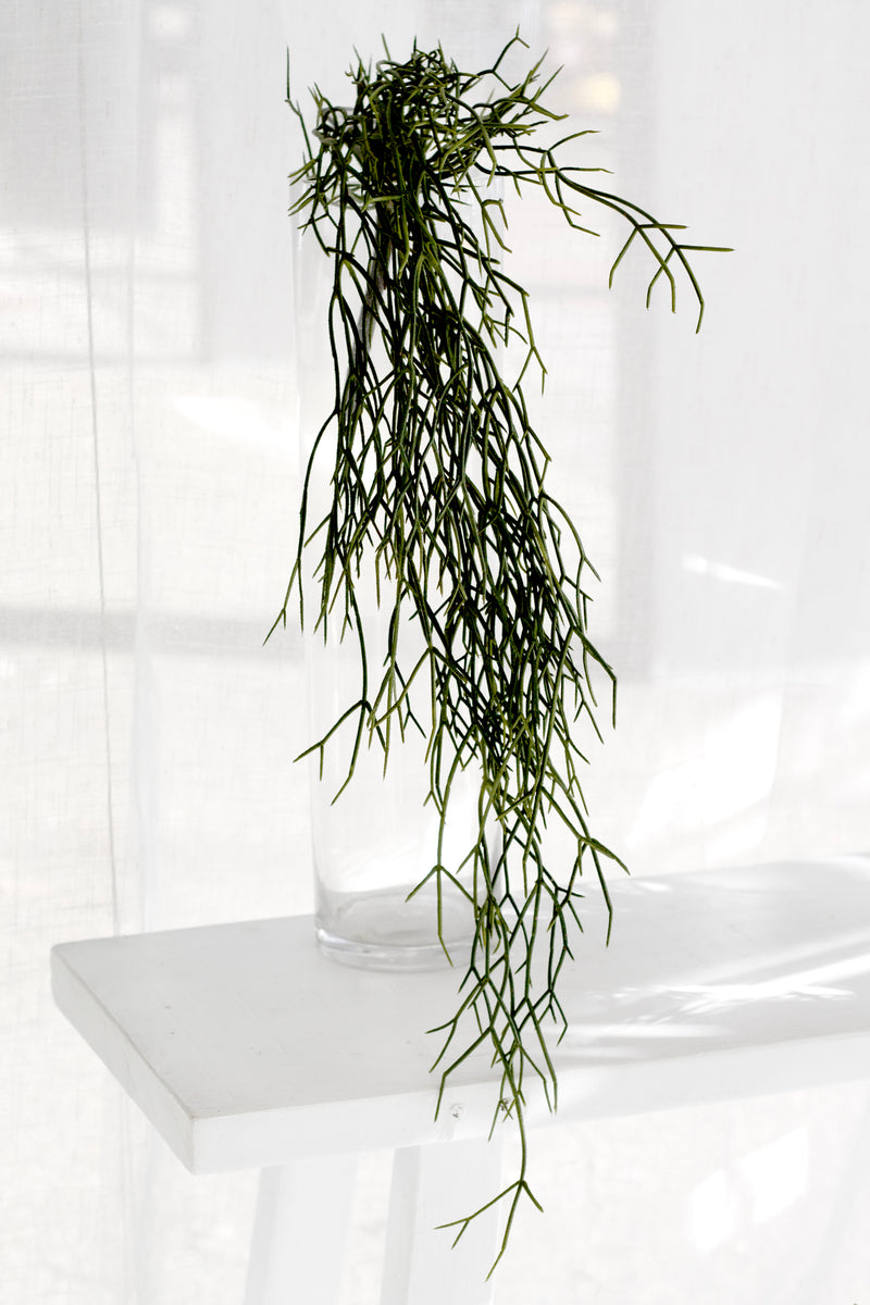 Hanging Rhipsalis – 84cm Real Touch Trailing Plant