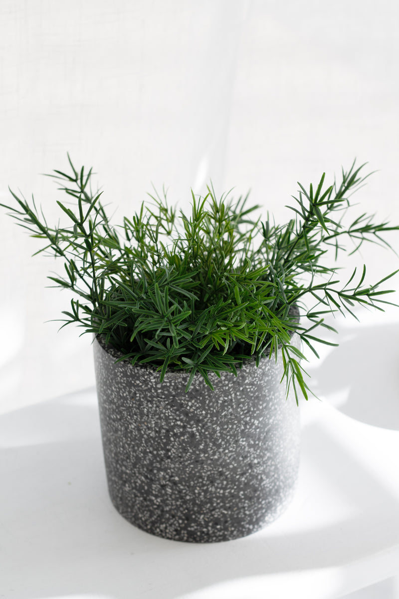Asparagus Fern Bush – Potted Faux Plant 22cm