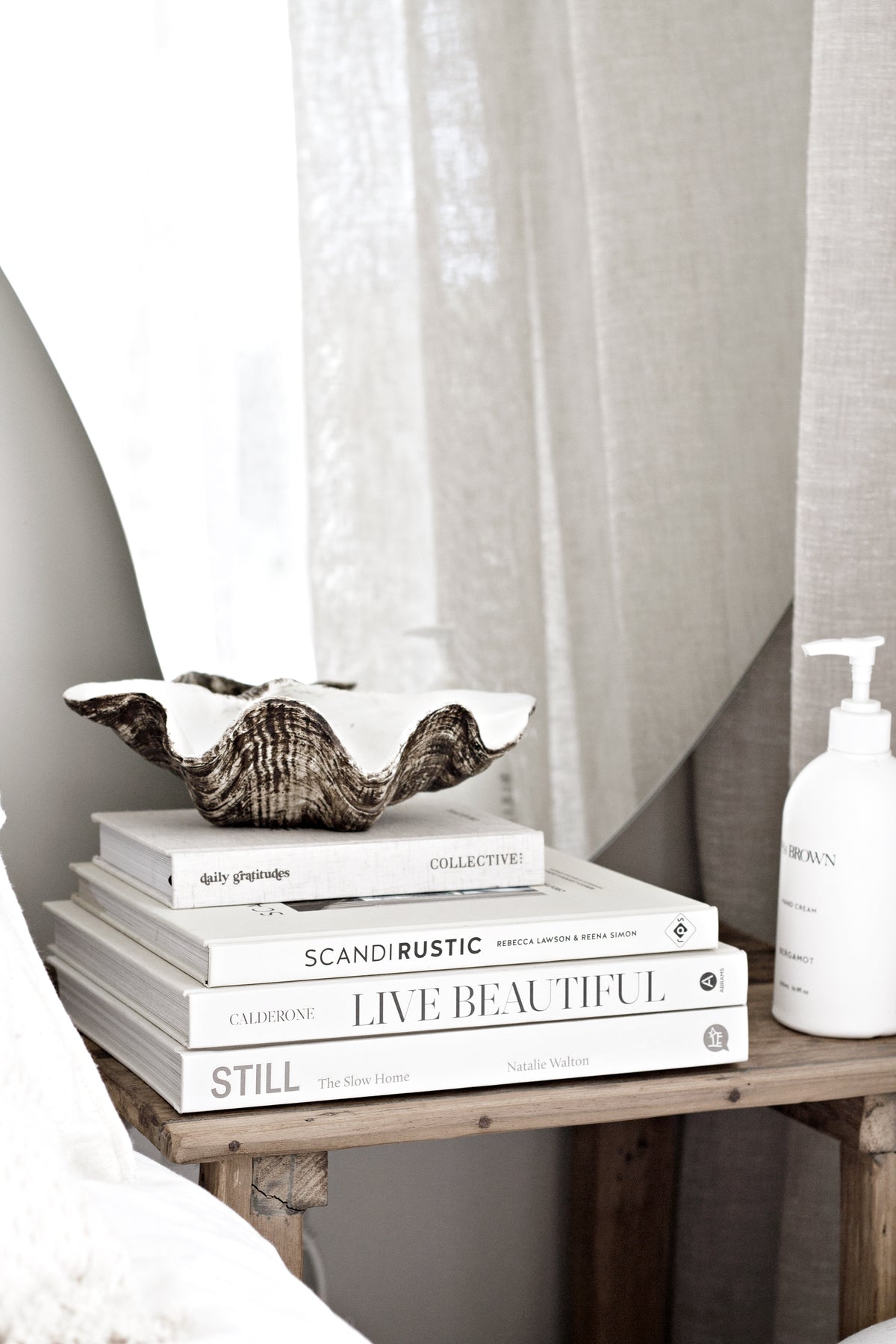 Resin clam shell dish shown in multiple sizes