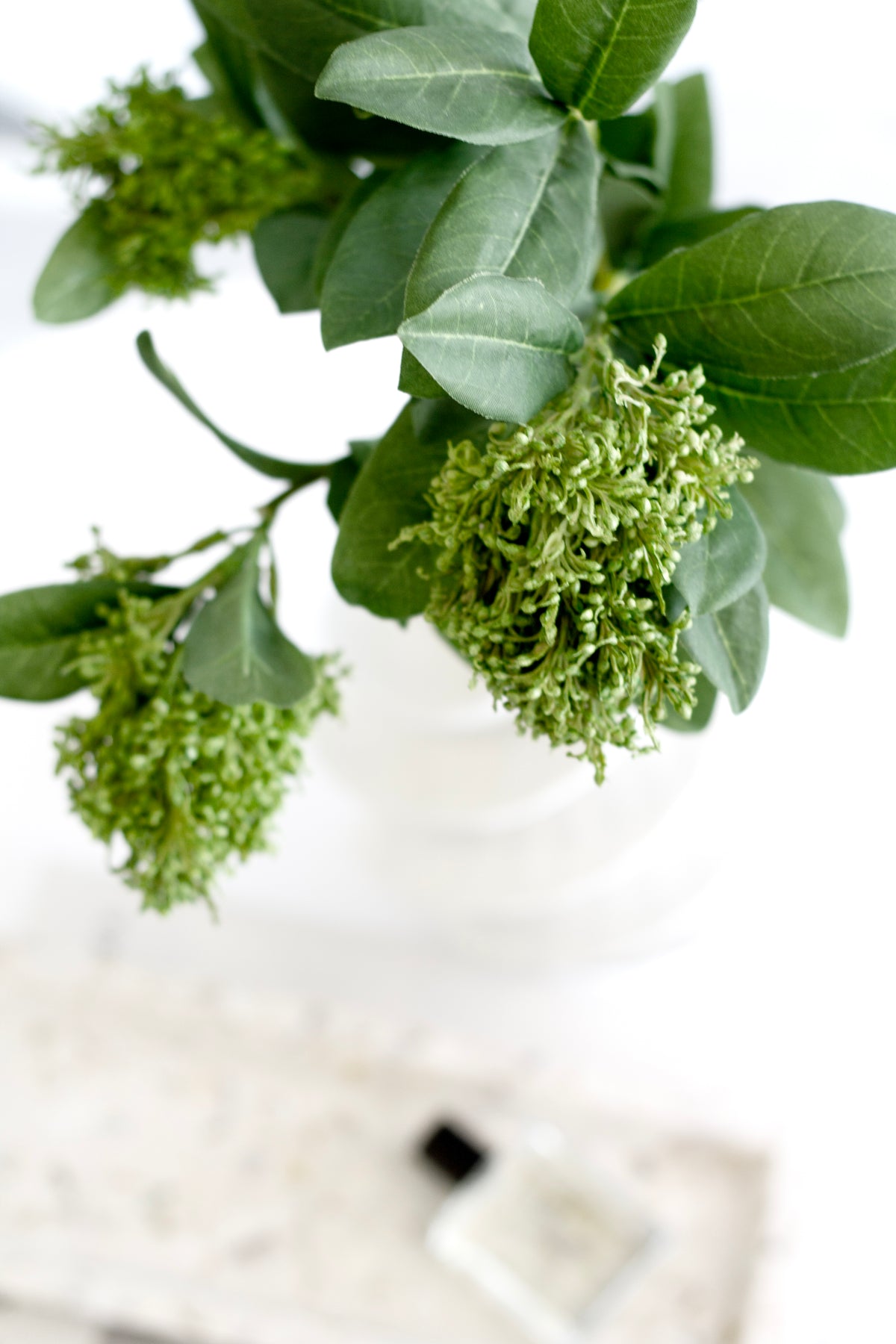 Skimmia buds in a white vase with a perfume bottle below