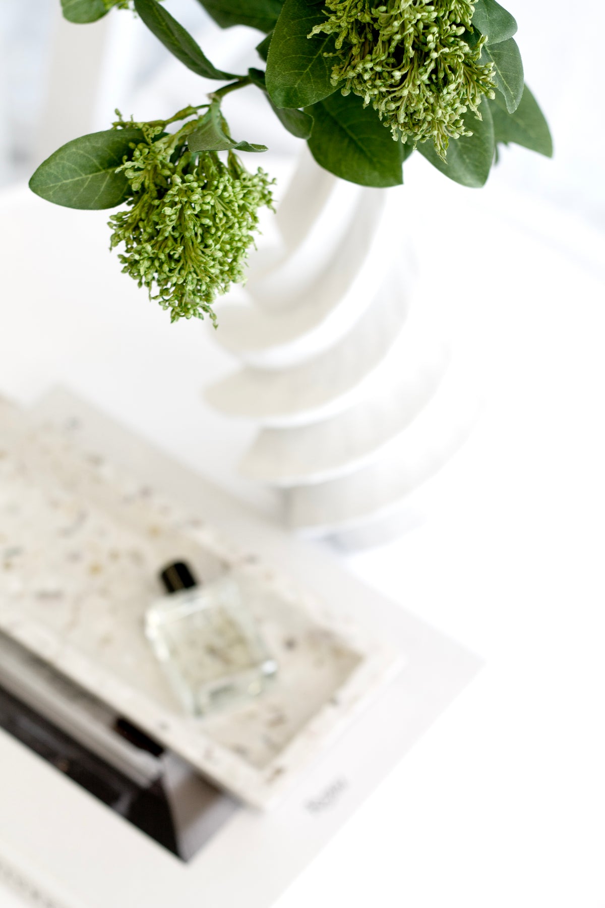 Close view of skimmia buds and leaves above a terrazzo tray