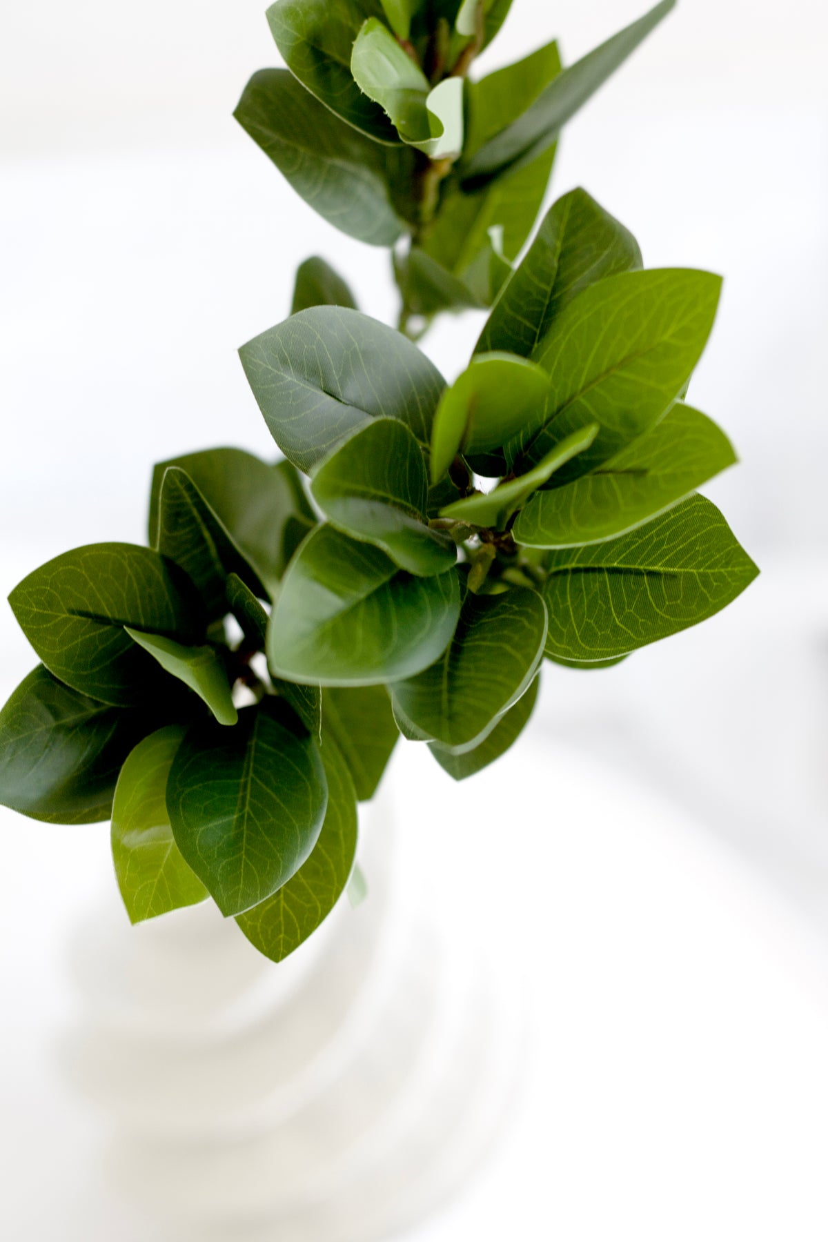 Laurel leaf spray styled in a tall vase