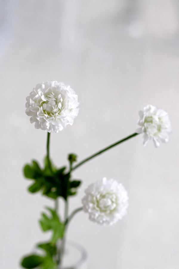Pompom Spray White – Set of 4 Stems (59cm)