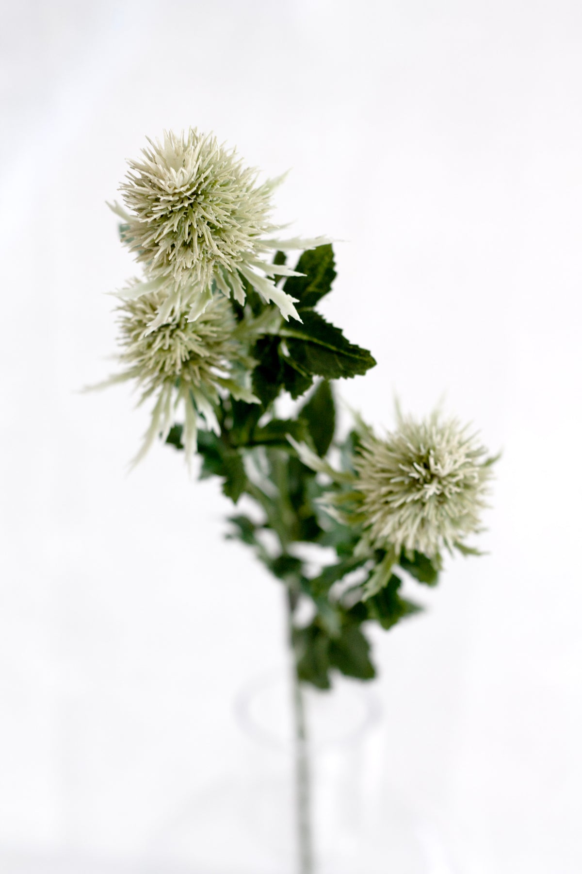Thistle Spray, Green 63.5cm Faux Stem