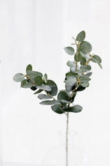 Artificial Eucalyptus Spray – 80cm Green Stem, Realistic Faux Foliage
