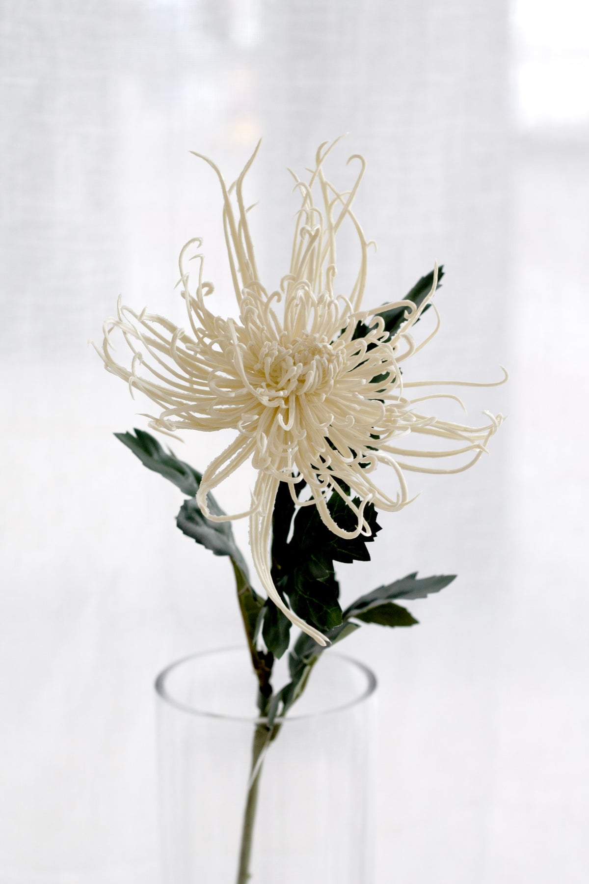 Cream Spider Mum Stem, 71cm Faux Flower