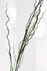 Artificial Twisted Willow Branch – 1.3m Sculptural Styling Stem