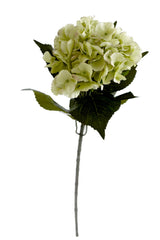 Dutch Green Hydrangea Stem – 67cm Faux Flower
