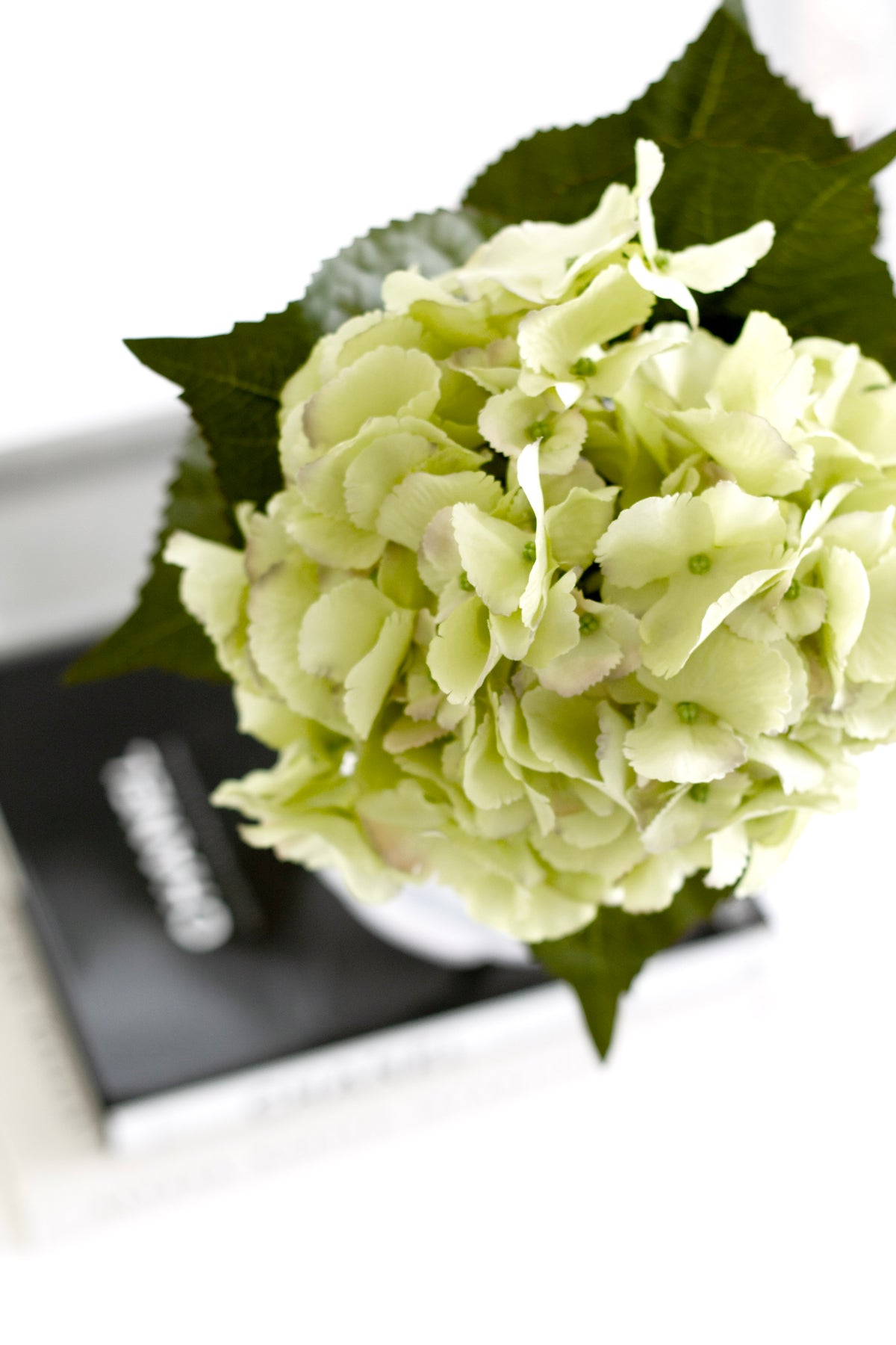 Close view of the pale green faux hydrangea bloom above a stack of books