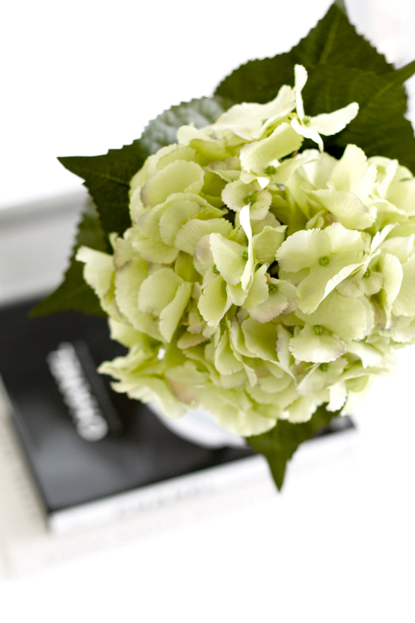 Dutch Green Hydrangea Stem – 67cm Faux Flower