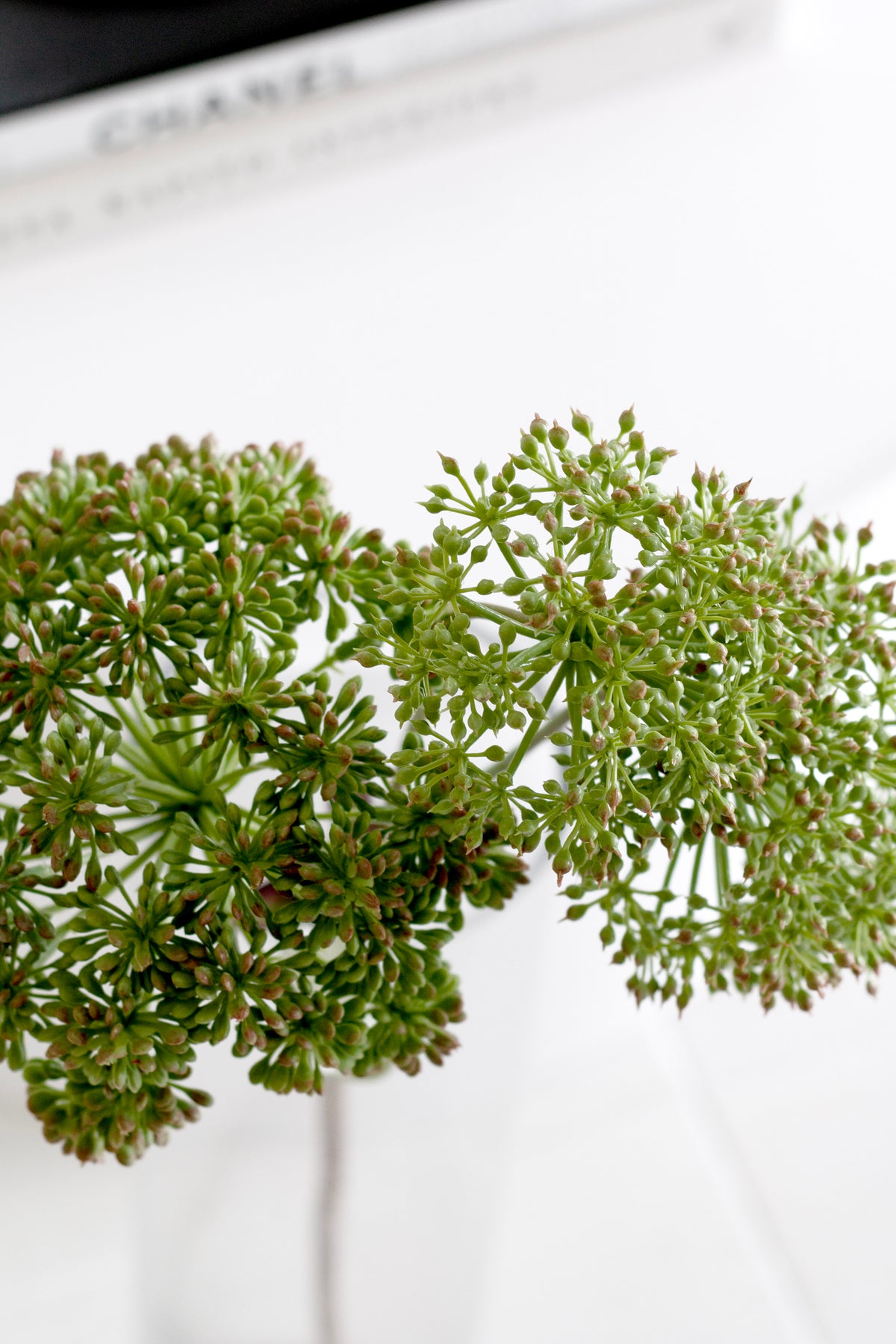 Sedum Pomona Spray, Faux Triple-Bloom Stem