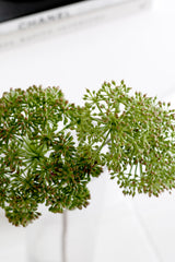 Sedum Pomona Spray – Artificial Triple Bloom Stem