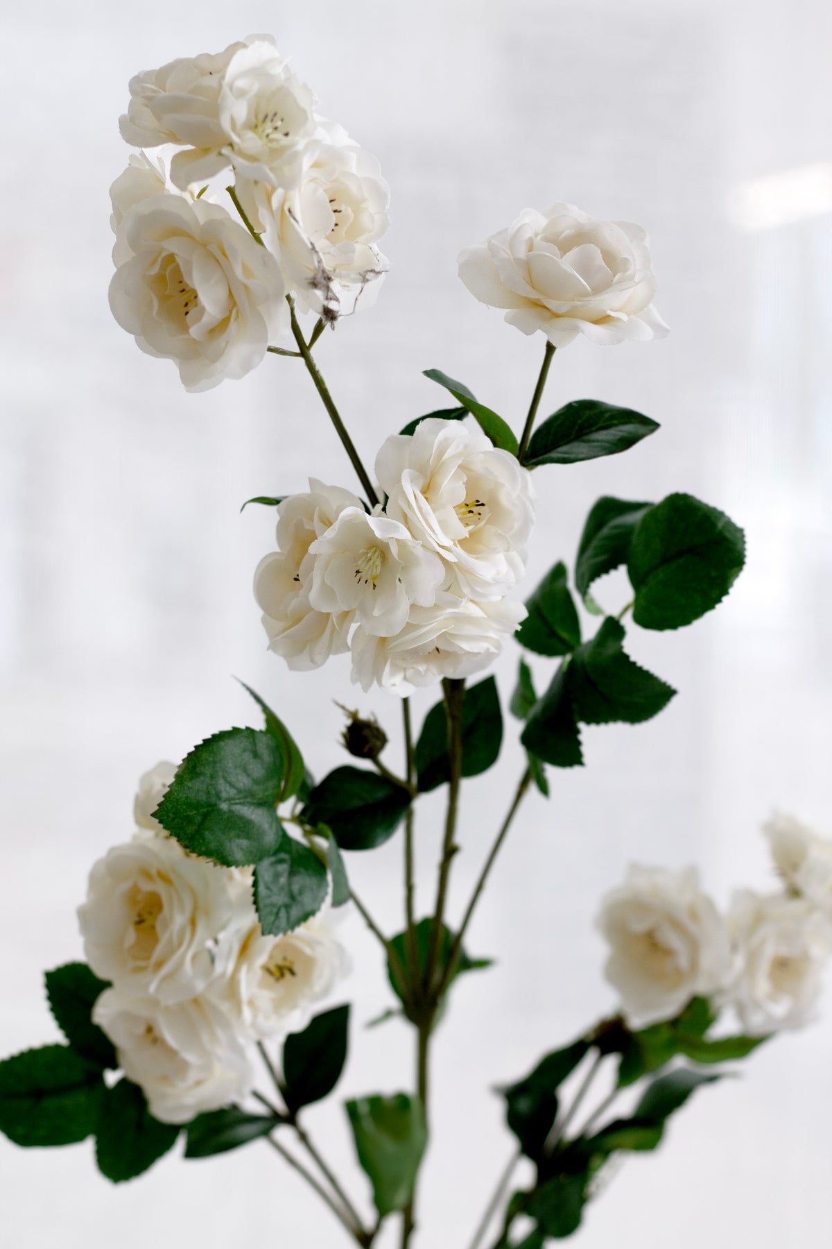 Wild Rose Spray, Cream 97cm Faux Flower
