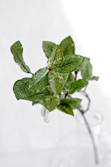 Pittosporum Leaf Spray 51cm – Artificial Greenery Stem