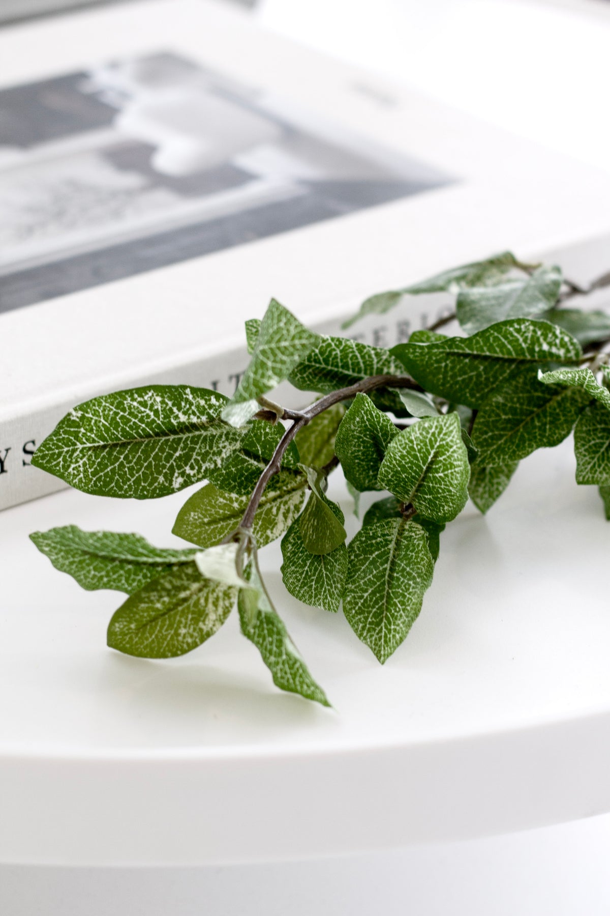 Pittosporum leaves lying on a round white table beside a book