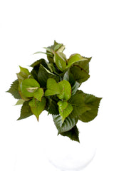 Artificial Hydrangea Leaf Bush 42cm – Lush Green Styling Stem