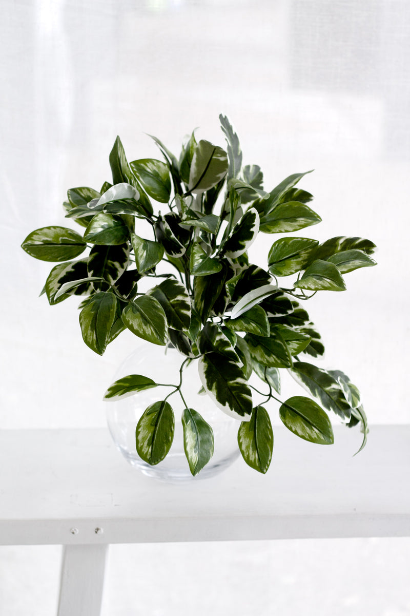 Hoya Carnosa Bush – 38cm Realistic Variegated Artificial Greenery