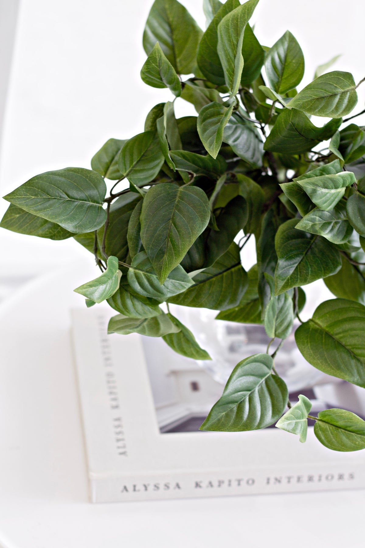 Pothos Bush, 41cm Faux Greenery