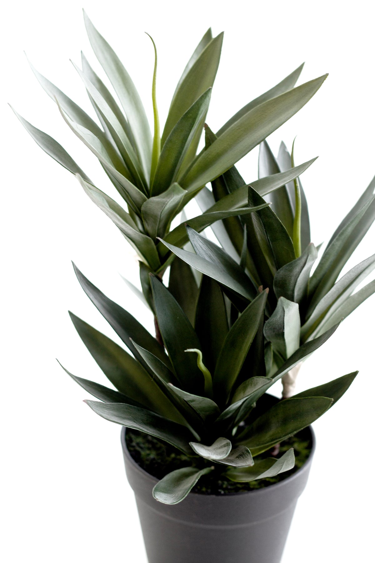 Small Dracaena, 45cm Potted Faux Plant
