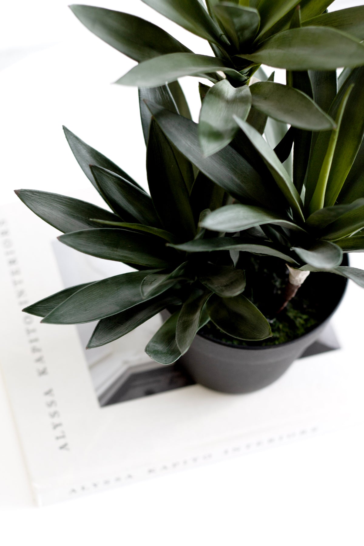 Small Dracaena, 45cm Potted Faux Plant